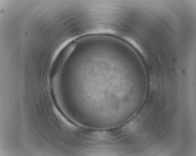 X0000066541468200603171228