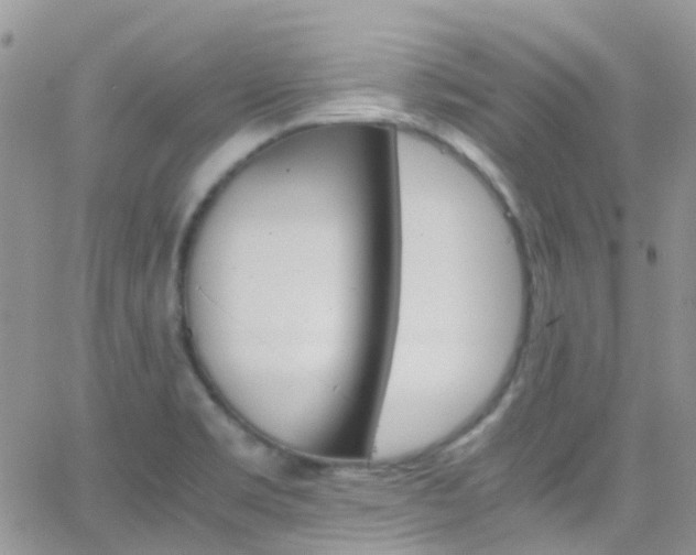 X0000066541469200603171228