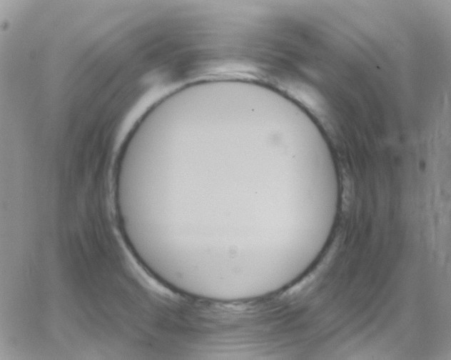 X0000066541470200603171228