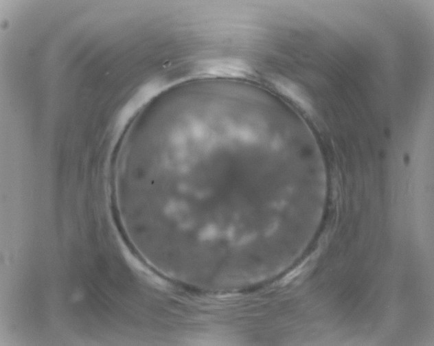 X0000066541471200603171228