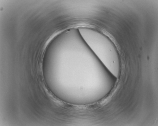 X0000066541473200603171228