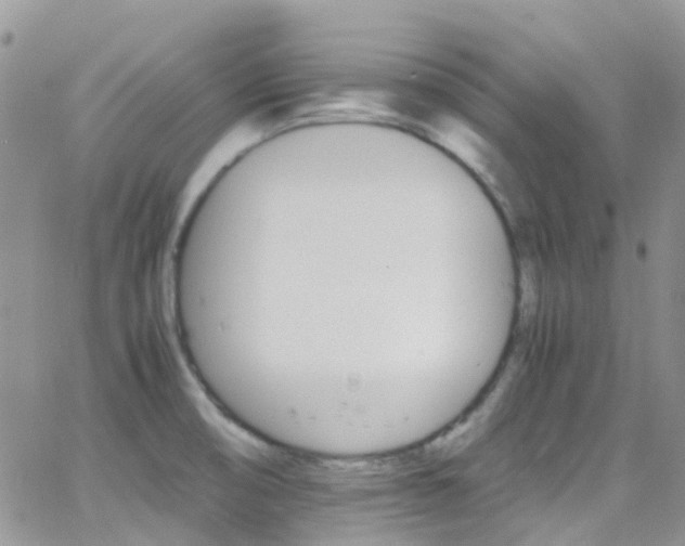 X0000066541474200603171228