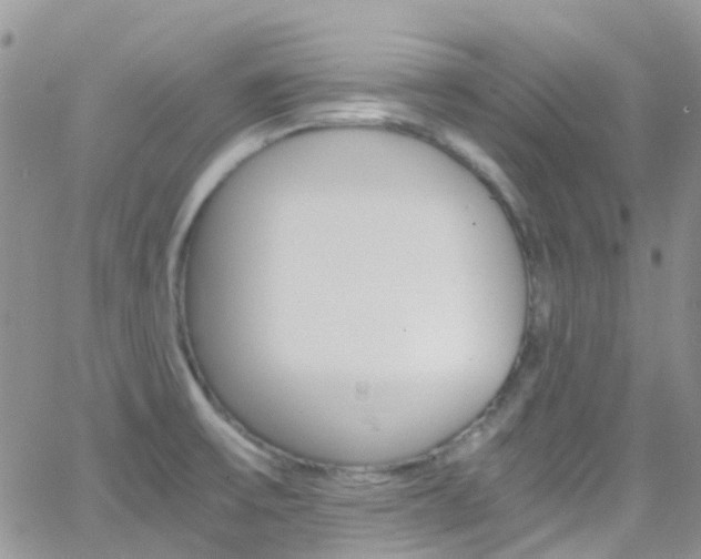 X0000066541475200603171228