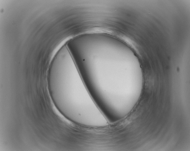 X0000066541476200603171228