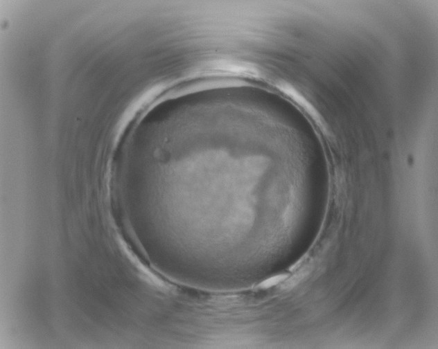 X0000066541477200603171228