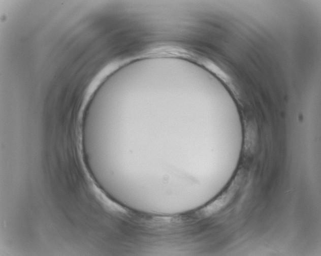 X0000066541478200603171228