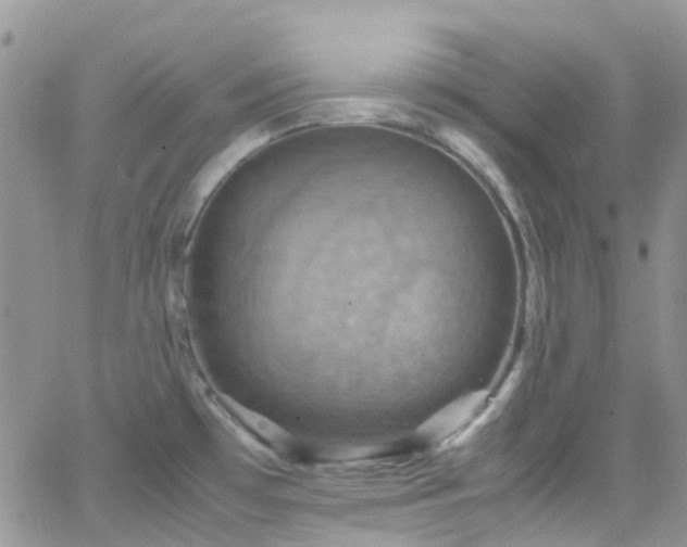 X0000066541481200603171228