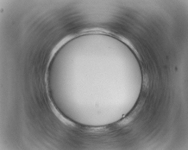 X0000066541482200603171228