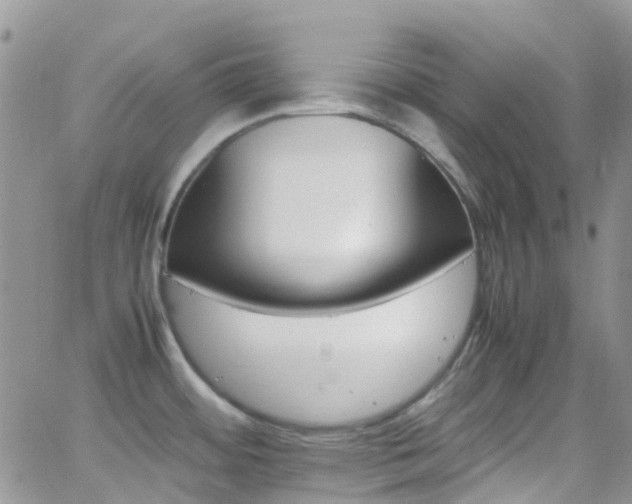 X0000066541484200603171228