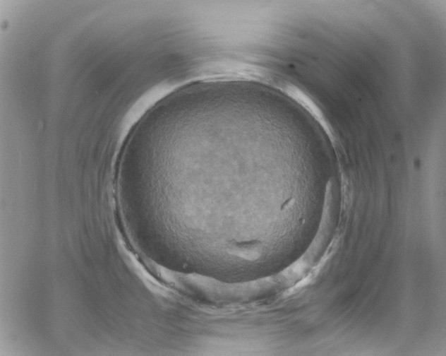 X0000066541485200603171228