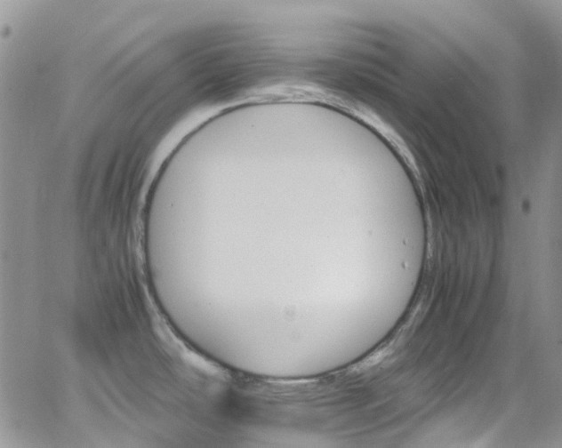 X0000066541486200603171228