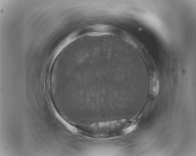 X0000066541487200603171228