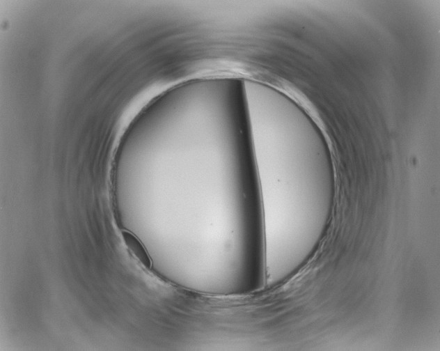 X0000066541488200603171228