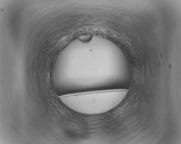 X0000066541489200603171227