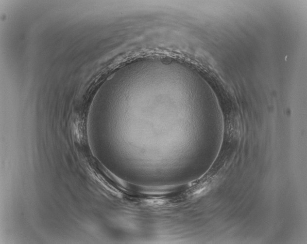 X0000066541490200603171227