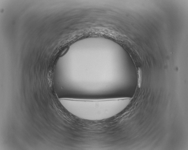 X0000066541491200603171227