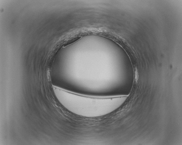 X0000066541492200603171227