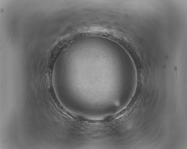 X0000066541493200603171227