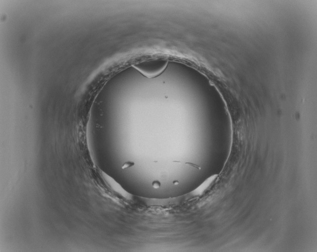 X0000066541495200603171227