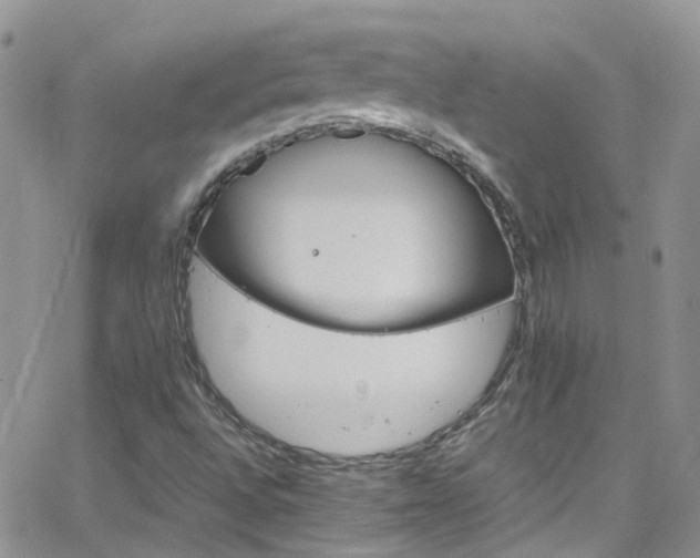 X0000066541496200603171227