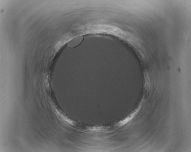 X0000066541497200603171227