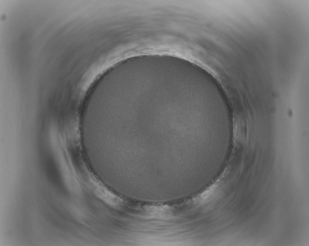 X0000066541498200603171227