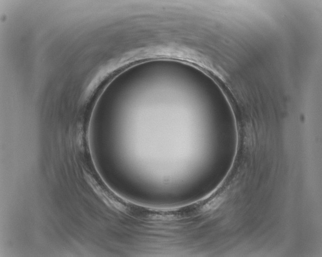 X0000066541499200603171227