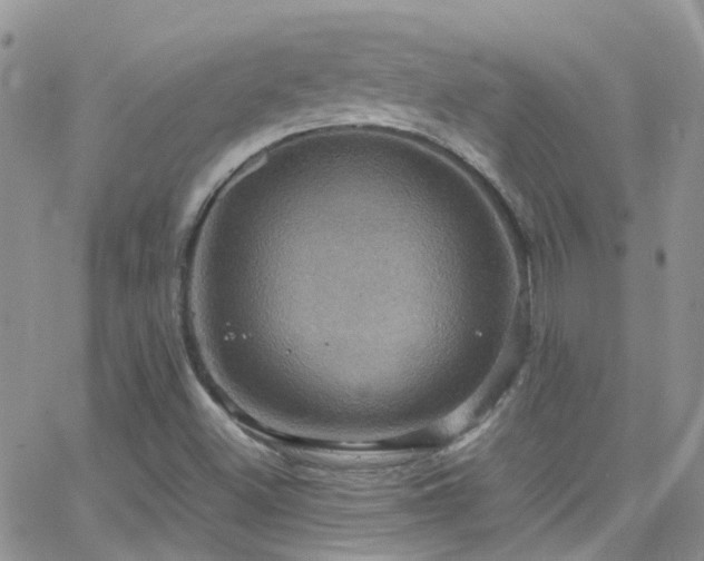 X0000066541500200603171227