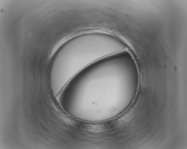 X0000066541501200603171227