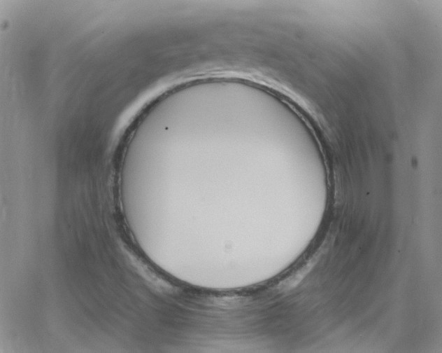 X0000066541502200603171227