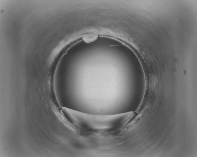 X0000066541503200603171227