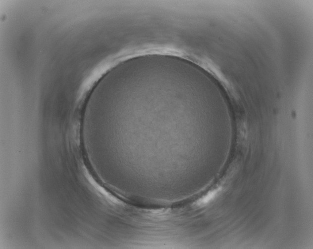 X0000066541504200603171227