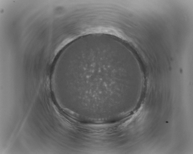 X0000066541505200603171227