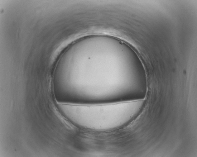 X0000066541507200603171228