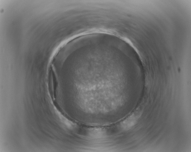 X0000066541508200603171228