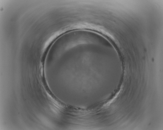 X0000066541509200603171228