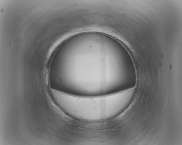 X0000066541510200603171228