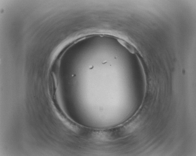 X0000066541511200603171228