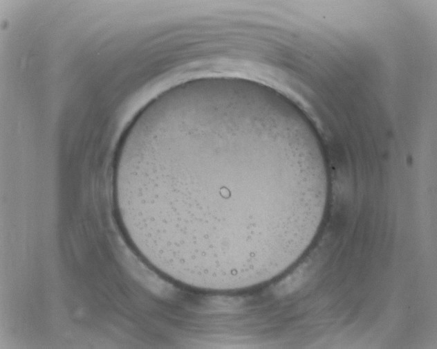 X0000066541514200603171228