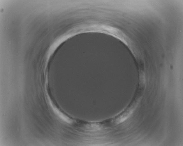 X0000066541515200603171228