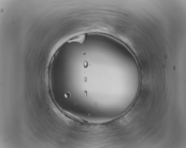 X0000066541516200603171228