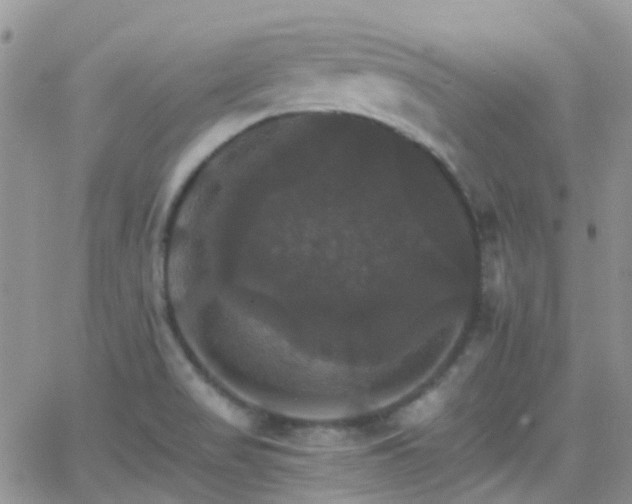 X0000066541517200603171228