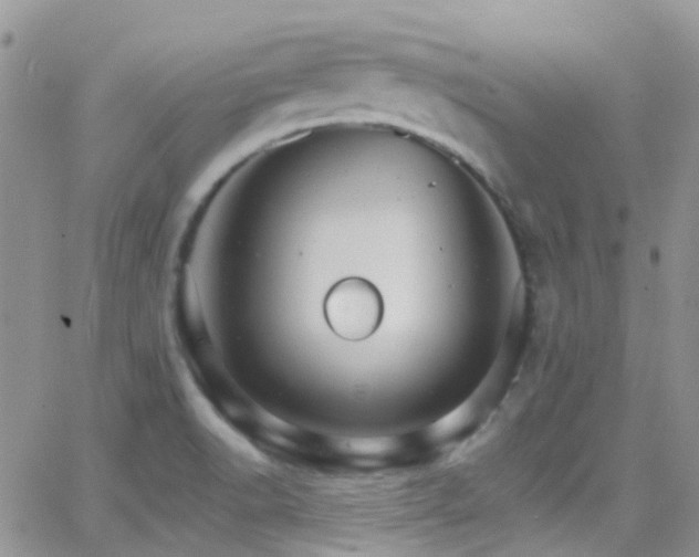 X0000066541518200603171228