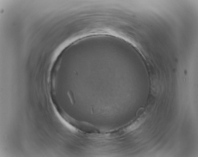 X0000066541519200603171228