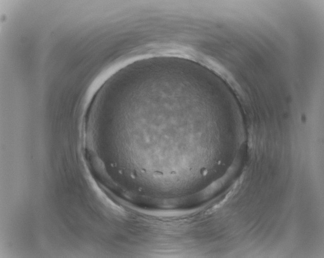 X0000066541520200603171228