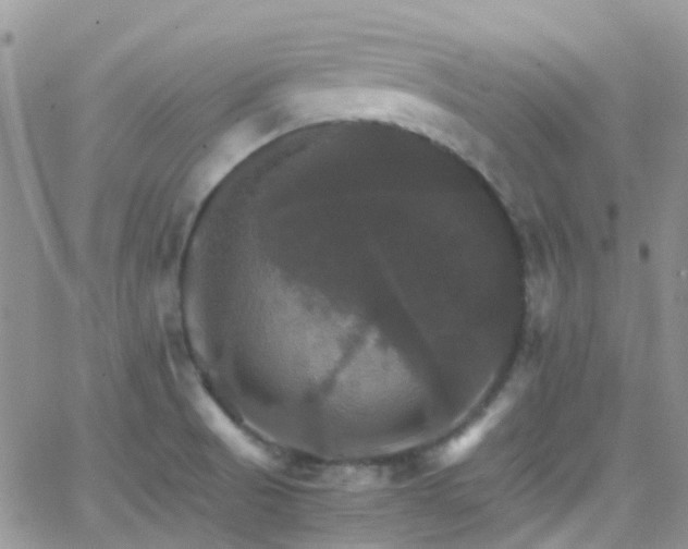 X0000066541521200603171228