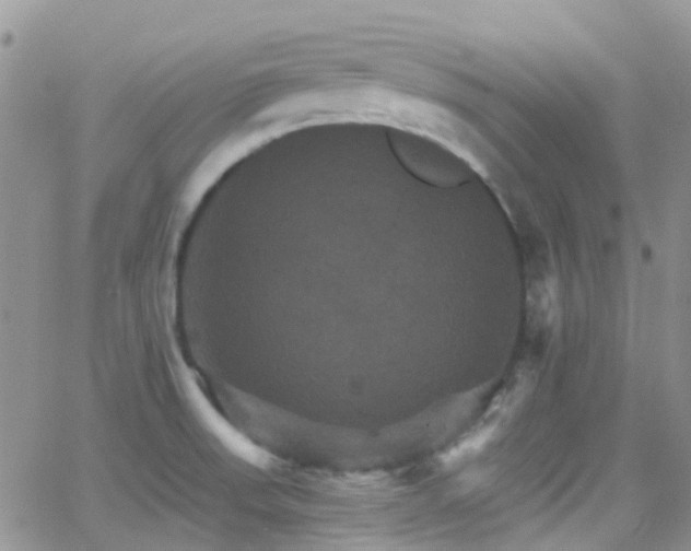 X0000066541523200603171228