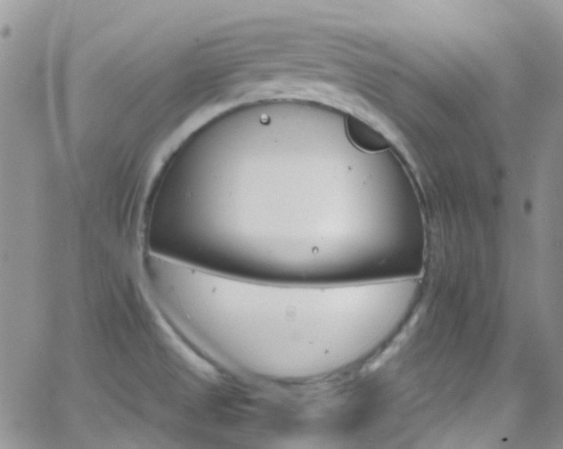 X0000066541525200603171228