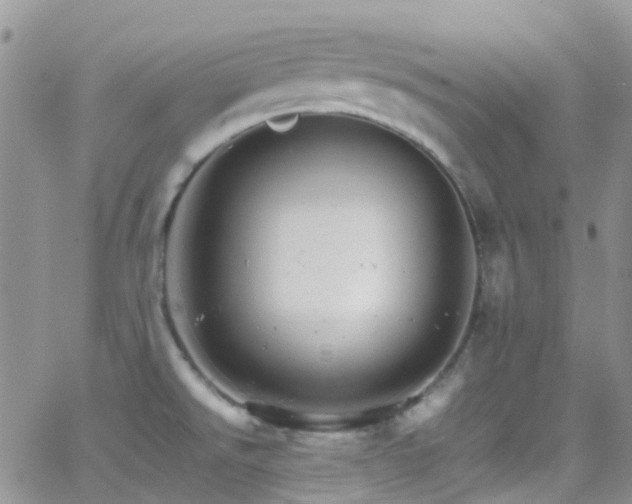 X0000066541526200603171228