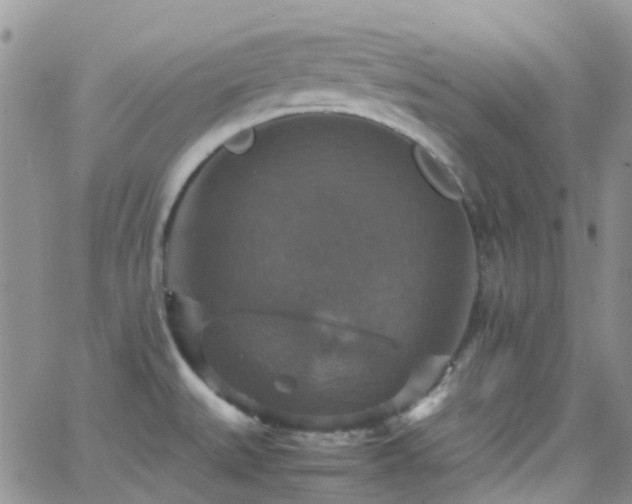 X0000066541527200603171228